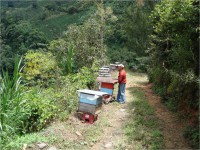 /album/fotogaleria/apicultor-campo-jpg/